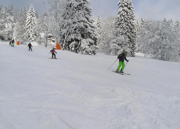U Novotných Špindlerŭv Mlýn