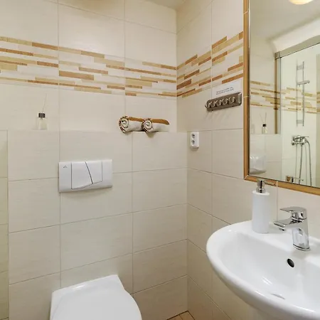 U Novotnych Guest house 2*