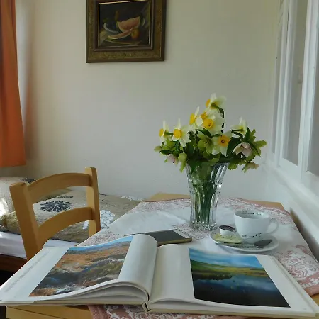 U Novotnych Guest house 2*