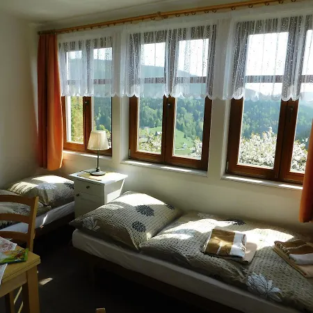 U Novotnych Guest house 2*