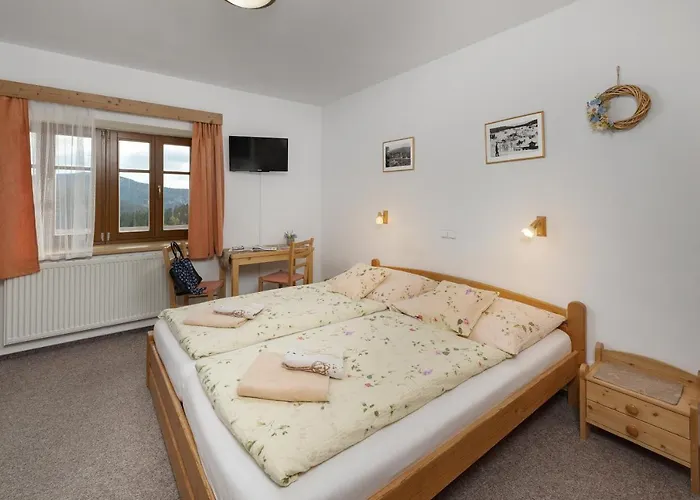Guest house U Novotnych 2*