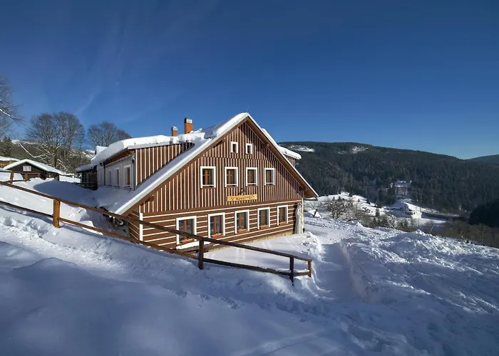 U Novotnych Guest house 2*