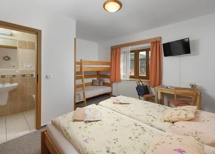 U Novotnych Guest house 2*