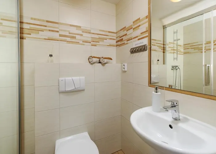 U Novotnych Guest house 2*
