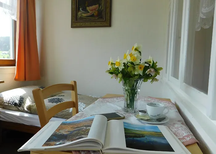 U Novotnych Guest house 2*