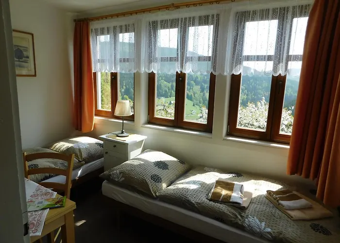U Novotnych Guest house 2*